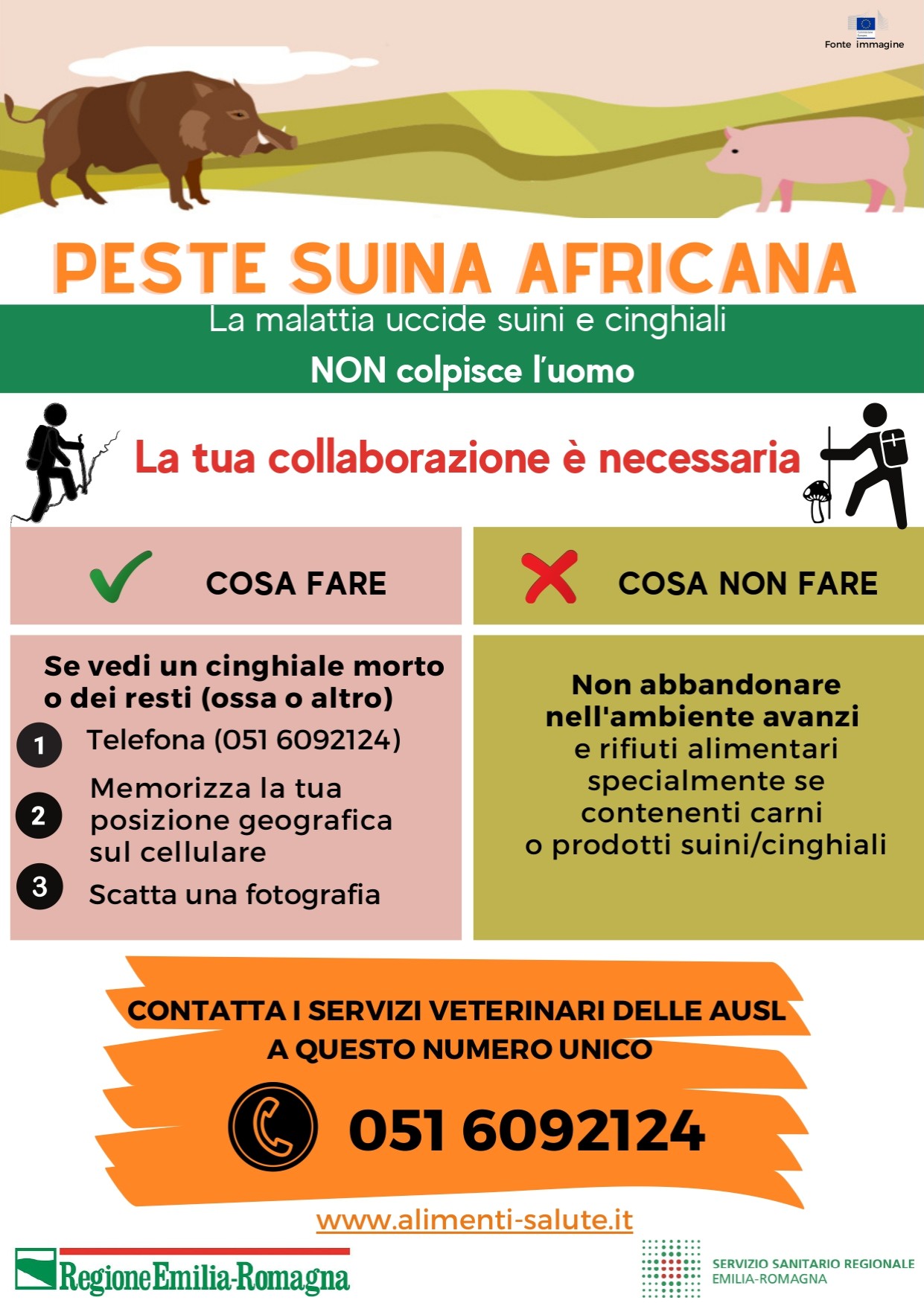 PSA - Peste Suina Africana | Comune di Marzabotto